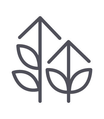 Icon Hohe Standards